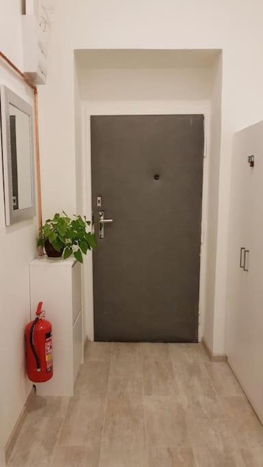 Apartmán Finnem
